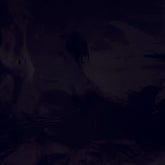 Luxury Plain Black Counter Roll