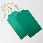 Luggage Pearl Green Gift Tags (50)