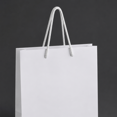 Plain White Gift Bag, 24x9x34cm Pack 50