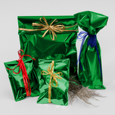 Amazing Bags with Peel & Seal closure (Pack of 25) - Green