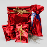 Amazing Bags with Peel & Seal closure (Pack of 25) - Red