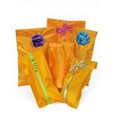 Amazing Bags with Peel & Seal closure (Pack of 25) - Orange