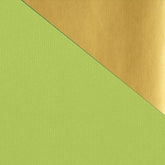 Kraft Colours Double-sided Counter Roll - Chartreuse/Gold
