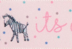 It's a Girl Ribbon cut to 80CM (24 pieces)