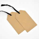 Luggage Kraft Gift Tags (pack 50) Unstrung plain tag