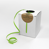 Paper Curling Ribbon (5mm x 500m) - Apple Green