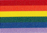 Rainbow Solid Stripe Grosgrain Ribbon cut to 80CM (24 pieces)