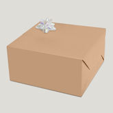 Regal Skin-colour Counter Roll (100m x 50cm)