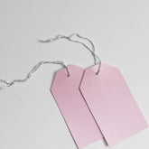 Luggage Pearl Pastel Pink Gift Tags (50)