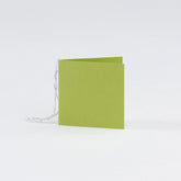 Plain Square Matt  Lime Gift Tags (50)
