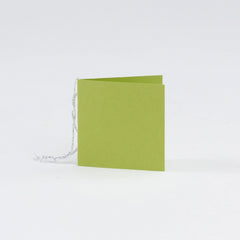 Plain Square Matt  Lime Gift Tags (50)