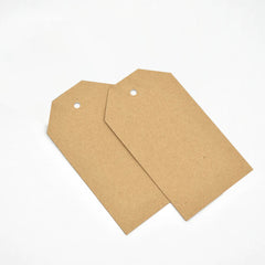 Luggage Kraft Gift Tags (pack 50) Unstrung plain tag