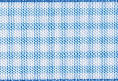 Blue Gingham Ribbon cut to 80CM (24 pieces)