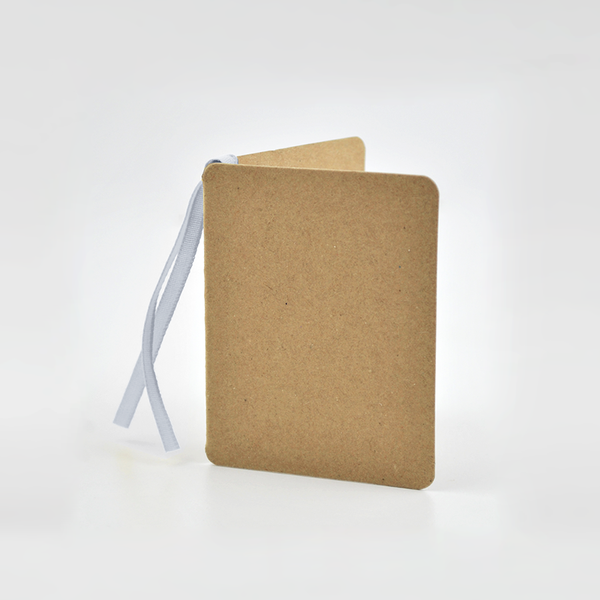 Luxury Kraft Gift Tags Silver (25)