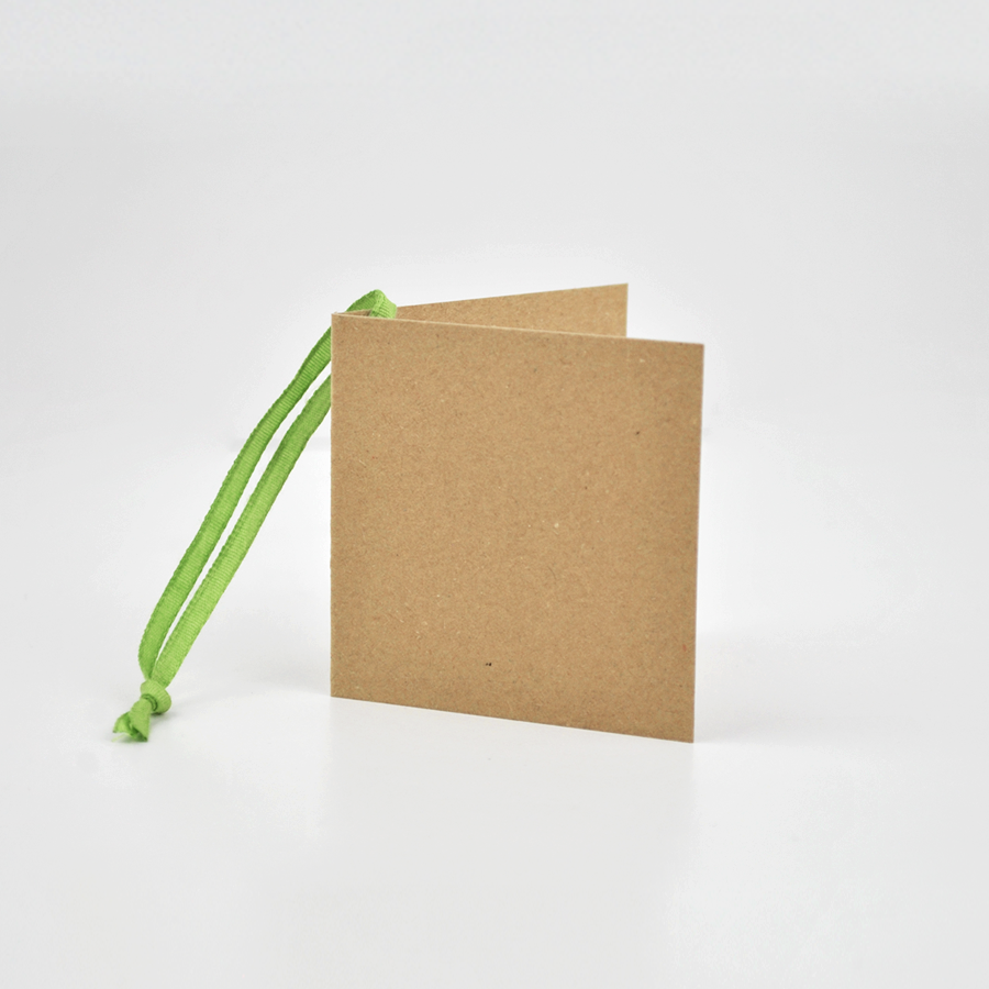 Square Kraft Gift Tags Apple Green (50)