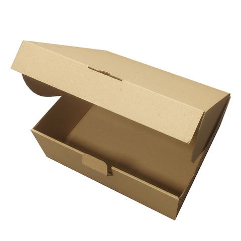 Plain Natural Kraft Postal Outer boxes, Large (Pack of 5)