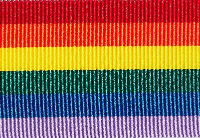 Rainbow Solid Stripe Grosgrain Ribbon cut to 80CM (24 pieces)