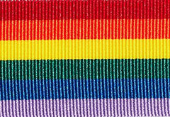 Rainbow Solid Stripe Grosgrain Ribbon cut to 80CM (24 pieces)