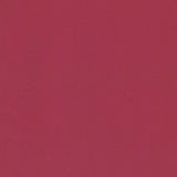 Regal Raspberry Counter Roll (250m x 50cm)