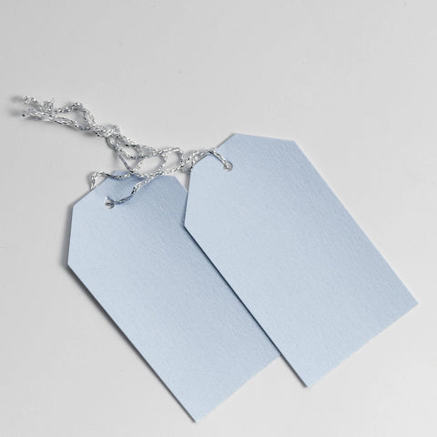 Luggage Pearl Pastel Blue Gift Tags (50)