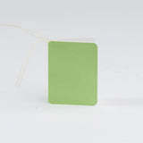 Luxury Pearl Sea Green Gift Tags (25)